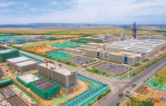 宁夏暖阳下的深情相伴