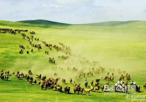 呼伦贝尔,草原荣光与时代印记的交响